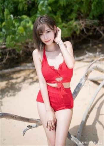 贞观攻略txt下载
