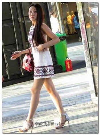 狗和人打扑克视频