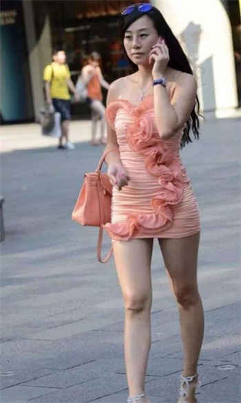 女巫的猫写的全部小说