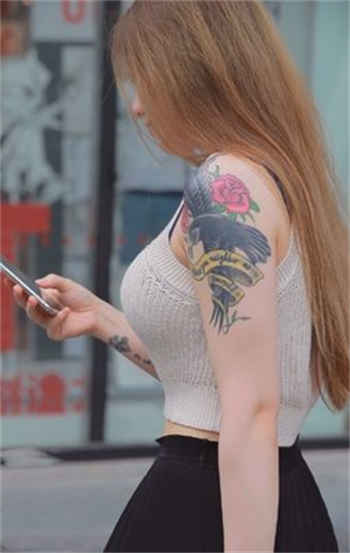 ybt视频下载链接