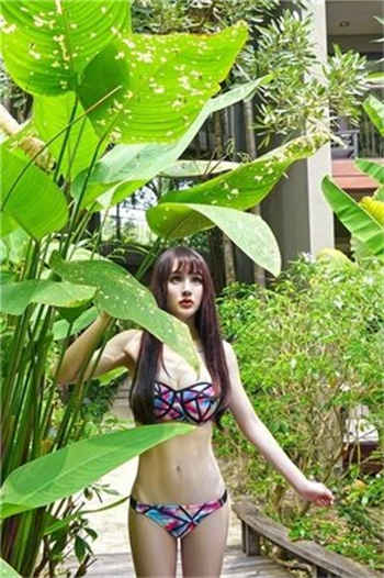 合家欢全集完整版