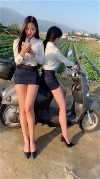 明日见未来封面