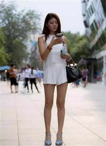 猫咪ayvip账号