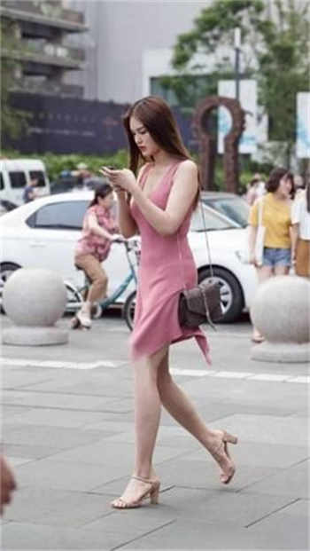 茶杯恶犬本人照片